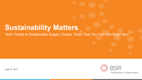 Sustainability-Matters-webinar-BSR-2017
