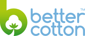 BCI_logo (new)